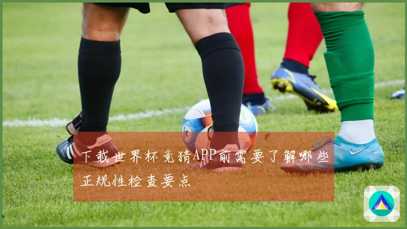 下载世界杯竞猜APP前需要了解哪些正规性检查要点