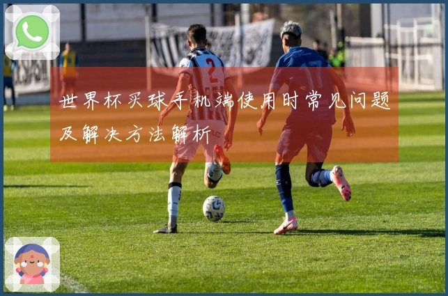 世界杯买球手机端使用时常见问题及解决方法解析