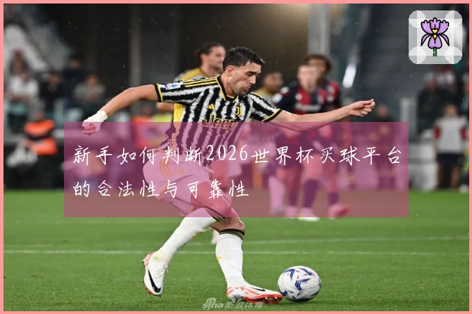 新手如何判断2026世界杯买球平台的合法性与可靠性